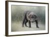 Her First Snow-Jai Johnson-Framed Giclee Print