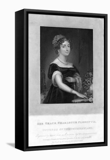 Her Grace Charlotte Florentia, Duchess of Northumberland, 1829-TA Dean-Framed Stretched Canvas