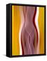 Her Inner Beauty-Ruth Palmer-Framed Stretched Canvas