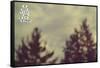 Her Life-Vintage Skies-Framed Stretched Canvas