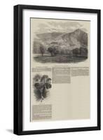 Her Majesty at Balmoral-null-Framed Giclee Print