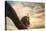 Her Majesty Bald Eagle-Jai Johnson-Stretched Canvas