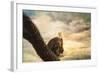 Her Majesty Bald Eagle-Jai Johnson-Framed Giclee Print