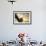 Her Majesty Bald Eagle-Jai Johnson-Framed Giclee Print displayed on a wall