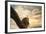 Her Majesty Bald Eagle-Jai Johnson-Framed Giclee Print