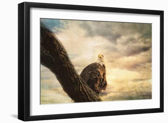 Her Majesty Bald Eagle-Jai Johnson-Framed Premium Giclee Print