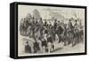 Her Majesty Distributing the Victoria Cross, in Hyde Park-null-Framed Stretched Canvas