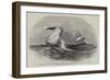 Her Majesty's Brig Nautilus-Edwin Weedon-Framed Giclee Print