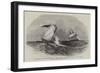Her Majesty's Brig Nautilus-Edwin Weedon-Framed Giclee Print