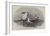 Her Majesty's Brig Nautilus-Edwin Weedon-Framed Giclee Print