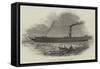 Her Majesty's River Steamer, Fairy-null-Framed Stretched Canvas