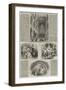 Her Majesty's Visit to France-null-Framed Giclee Print