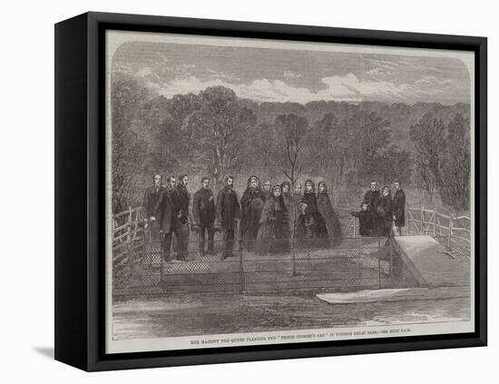 Her Majesty the Queen Planting the Prince Consort's Oak in Windsor Great Park-null-Framed Stretched Canvas