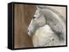 Her Majesty-Albena Hristova-Framed Stretched Canvas