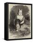 Her Royal Highness the Princess Alice-Charles Baugniet-Framed Stretched Canvas