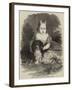 Her Royal Highness the Princess Alice-Charles Baugniet-Framed Giclee Print