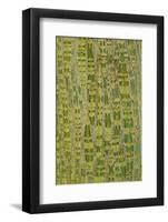 Her's Maple (Acer davidii grosseri) bark, close-up of trunk, in botanical garden, july-Krystyna Szulecka-Framed Photographic Print