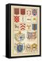 Heraldic Arms: Tenne and Sanguine-Hugh Clark-Framed Stretched Canvas