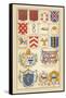 Heraldic Arms: Tenne and Sanguine-Hugh Clark-Framed Stretched Canvas