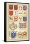 Heraldic Arms: Tenne and Sanguine-Hugh Clark-Framed Stretched Canvas