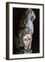 Heraldic Lion, 1420-Donatello-Framed Photographic Print