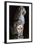 Heraldic Lion, 1420-Donatello-Framed Photographic Print