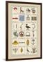 Heraldic Symbols: Banner and Cameleopard-Hugh Clark-Framed Art Print