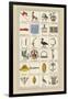 Heraldic Symbols: Banner and Cameleopard-Hugh Clark-Framed Art Print