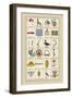 Heraldic Symbols: Banner and Cameleopard-Hugh Clark-Framed Art Print
