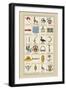 Heraldic Symbols: Banner and Cameleopard-Hugh Clark-Framed Art Print