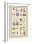 Heraldic Symbols: Banner and Cameleopard-Hugh Clark-Framed Art Print