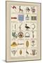 Heraldic Symbols: Banner and Cameleopard-Hugh Clark-Mounted Art Print