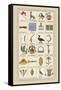 Heraldic Symbols: Banner and Cameleopard-Hugh Clark-Framed Stretched Canvas