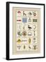 Heraldic Symbols: Banner and Cameleopard-Hugh Clark-Framed Art Print