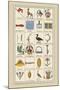 Heraldic Symbols: Banner and Cameleopard-Hugh Clark-Mounted Art Print