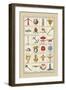 Heraldic Symbols: Crossbow and Escallop-Hugh Clark-Framed Art Print