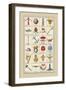 Heraldic Symbols: Crossbow and Escallop-Hugh Clark-Framed Art Print