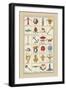 Heraldic Symbols: Crossbow and Escallop-Hugh Clark-Framed Art Print