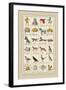 Heraldic Symbols: Mortne and Maiden's Head-Hugh Clark-Framed Art Print