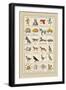 Heraldic Symbols: Mortne and Maiden's Head-Hugh Clark-Framed Art Print