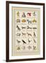 Heraldic Symbols: Mortne and Maiden's Head-Hugh Clark-Framed Art Print