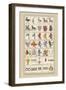 Heraldic Symbols: Shoveller and Seax-Hugh Clark-Framed Art Print