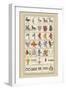 Heraldic Symbols: Shoveller and Seax-Hugh Clark-Framed Premium Giclee Print