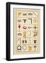 Heraldic Symbols: Wool Card and Jersey Comb-Hugh Clark-Framed Art Print