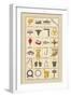 Heraldic Symbols: Wool Card and Jersey Comb-Hugh Clark-Framed Art Print