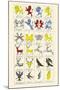 Heraldry - Charges-Hugh Clark-Mounted Art Print