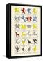 Heraldry - Charges-Hugh Clark-Framed Stretched Canvas