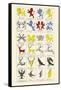 Heraldry - Charges-Hugh Clark-Framed Stretched Canvas