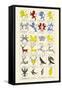 Heraldry - Charges-Hugh Clark-Framed Stretched Canvas