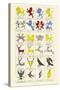 Heraldry - Charges-Hugh Clark-Stretched Canvas